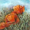 Artists Poppies, Oil