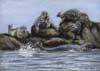 Laid Back Seals, Acrylic and Pastel on Panel