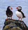 Puffin Duo, Pastel on Panel