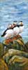 Puffin Trio, Acrylic