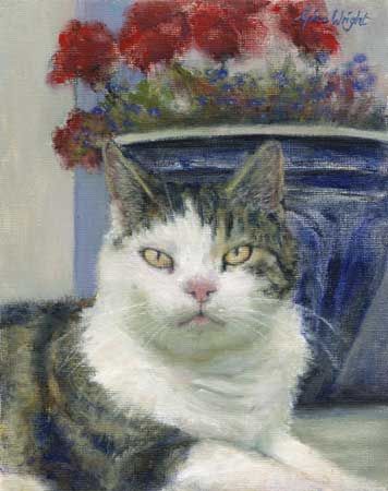 Ali, The Pittenweem Cat, Oil