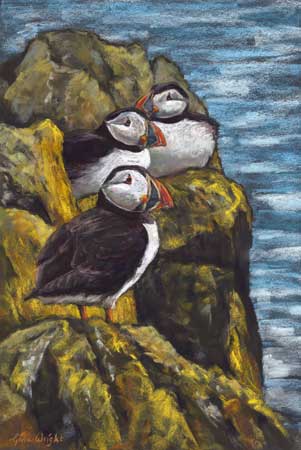 Three puffins on rocks above the sea