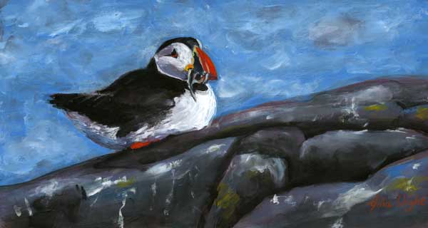 Isle Of May Puffin, Gouache