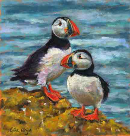 A pair of puffins on lichen covered rocks