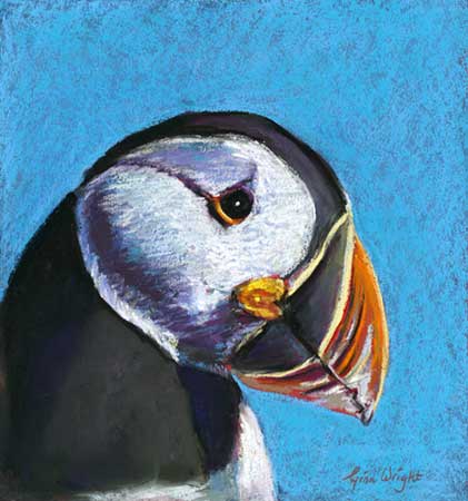 Puffin Solo