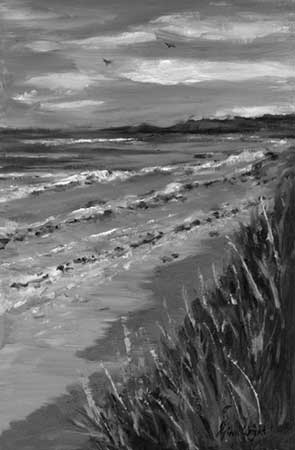 Shadows At Kingsbarns