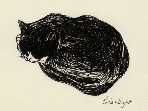 Sleeping Cat Two, Ink Sketch