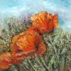 Artists Poppies, Oil