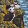 Three puffins on rocks above the sea