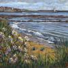 Daisy flowers in dunes with the sea and a harbour in the distance