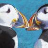 Puffin Talk