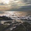 Waves At Elie, Pastel On Panel