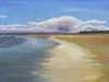 Tentsmuir Sands, Oil