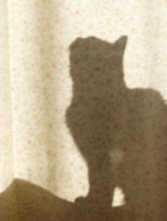 Xena behind Curtain