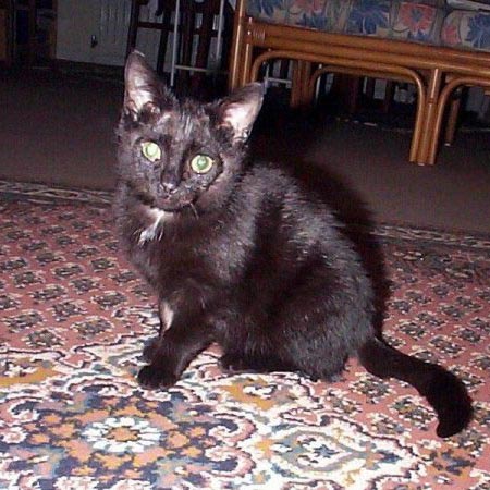 Just days after we got Xena